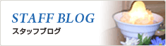 スタッフブログ